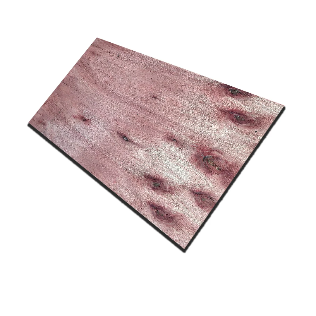 terciado estructural 18x1220x2440 (51) - Imagen 3